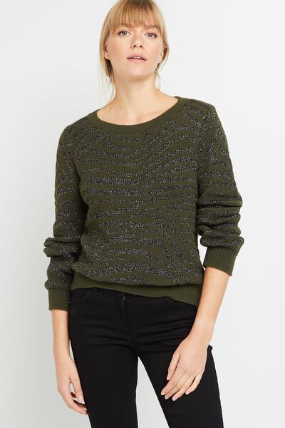 Pull jacquard zébré femme