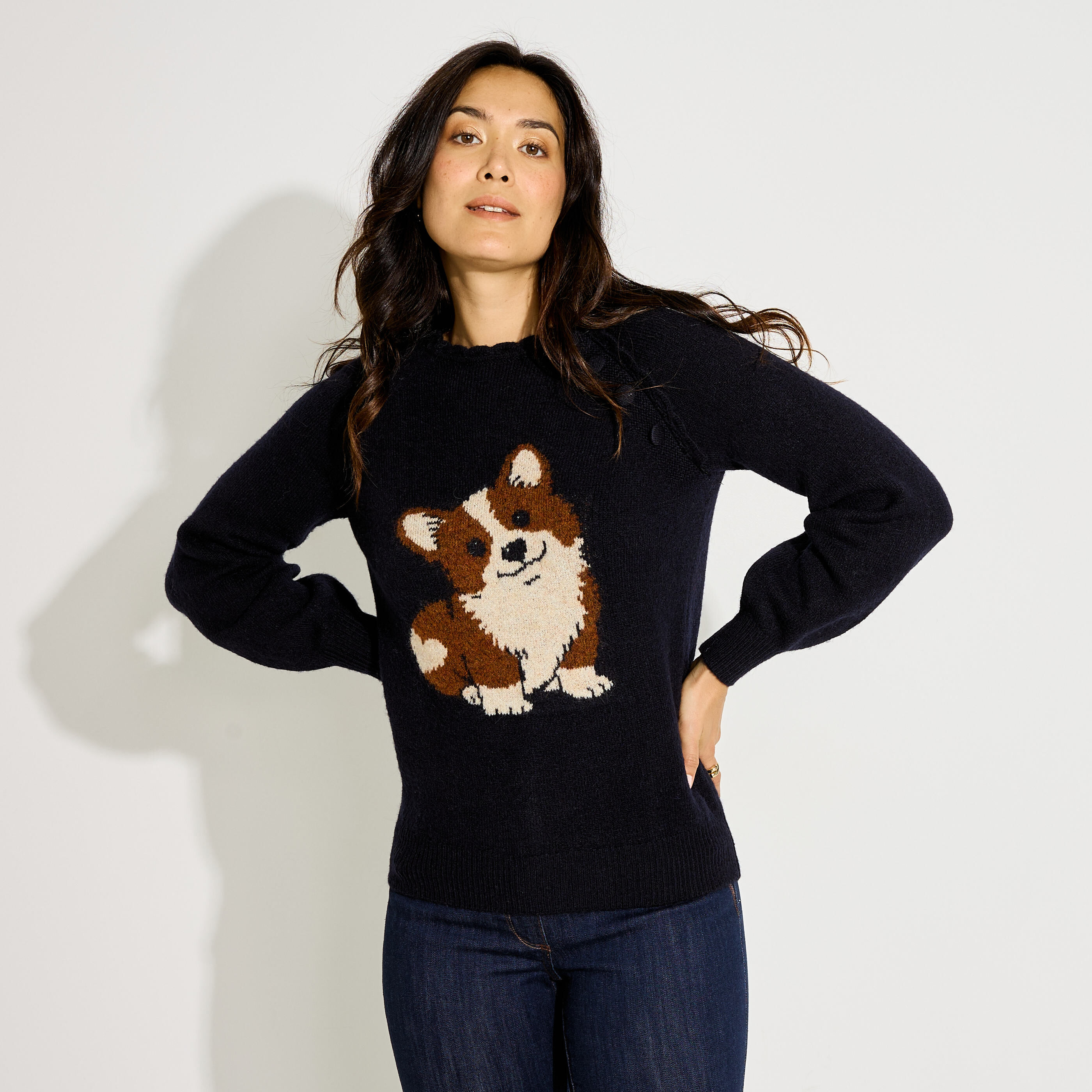 Pull en maille col rond chien femme
