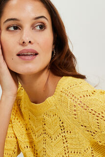 Pull tricot fantaisie femme