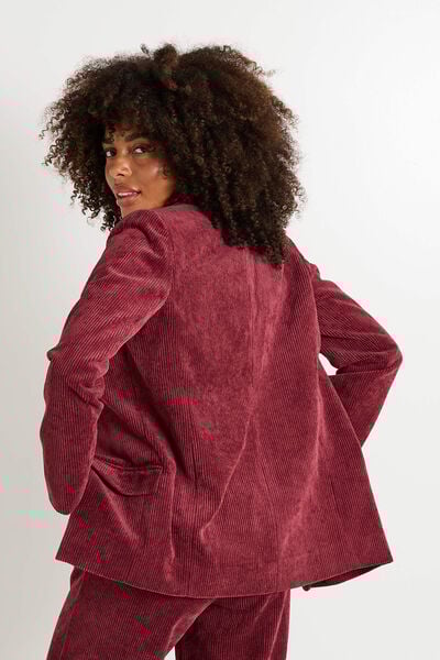 Blazer velours femme