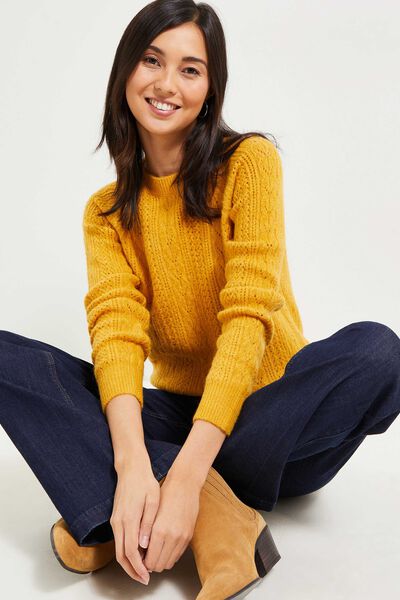 Pull tricot fantaisie femme