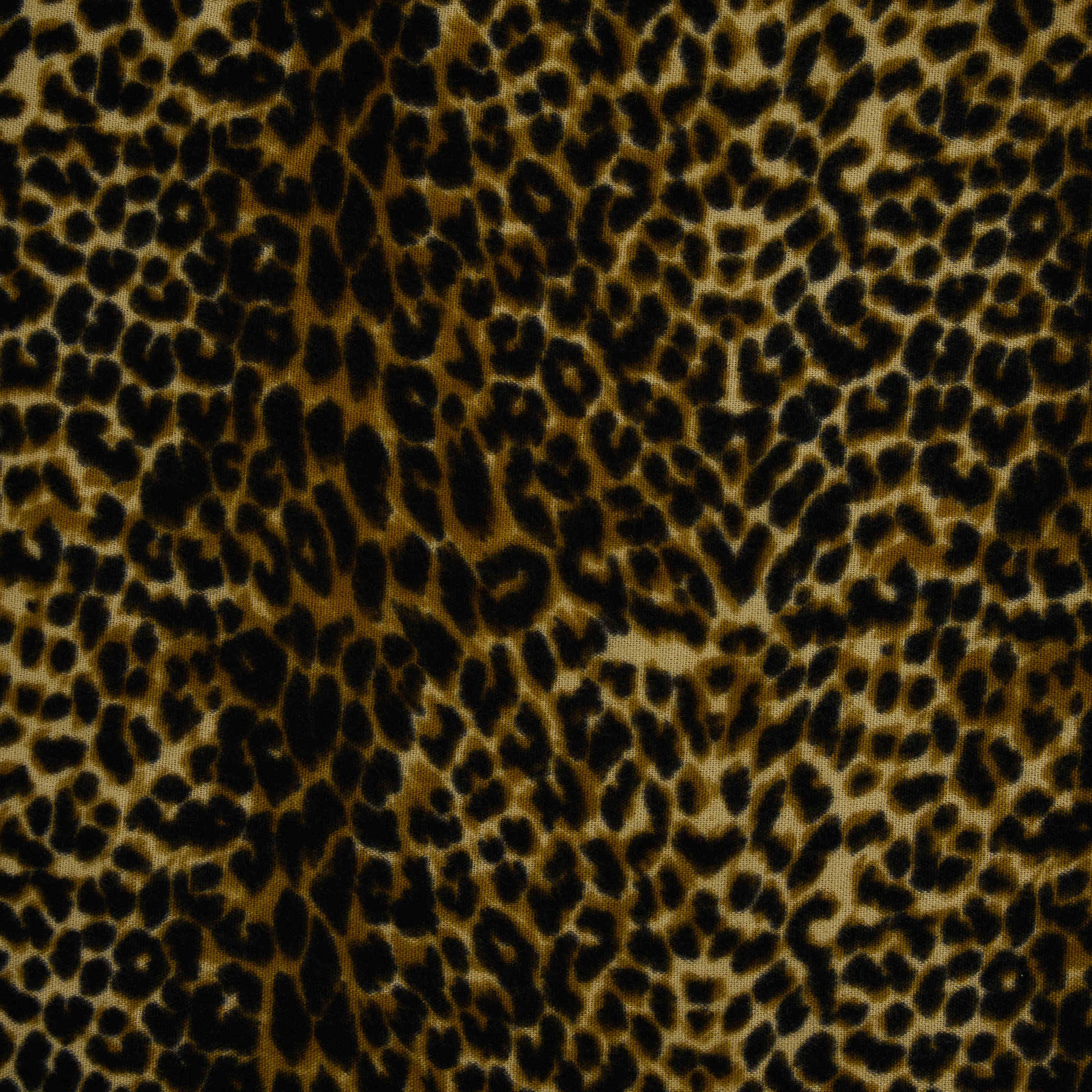 &Eacute;charpe imprim&eacute; l&eacute;opard femme