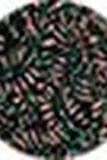 Short jacquard femme