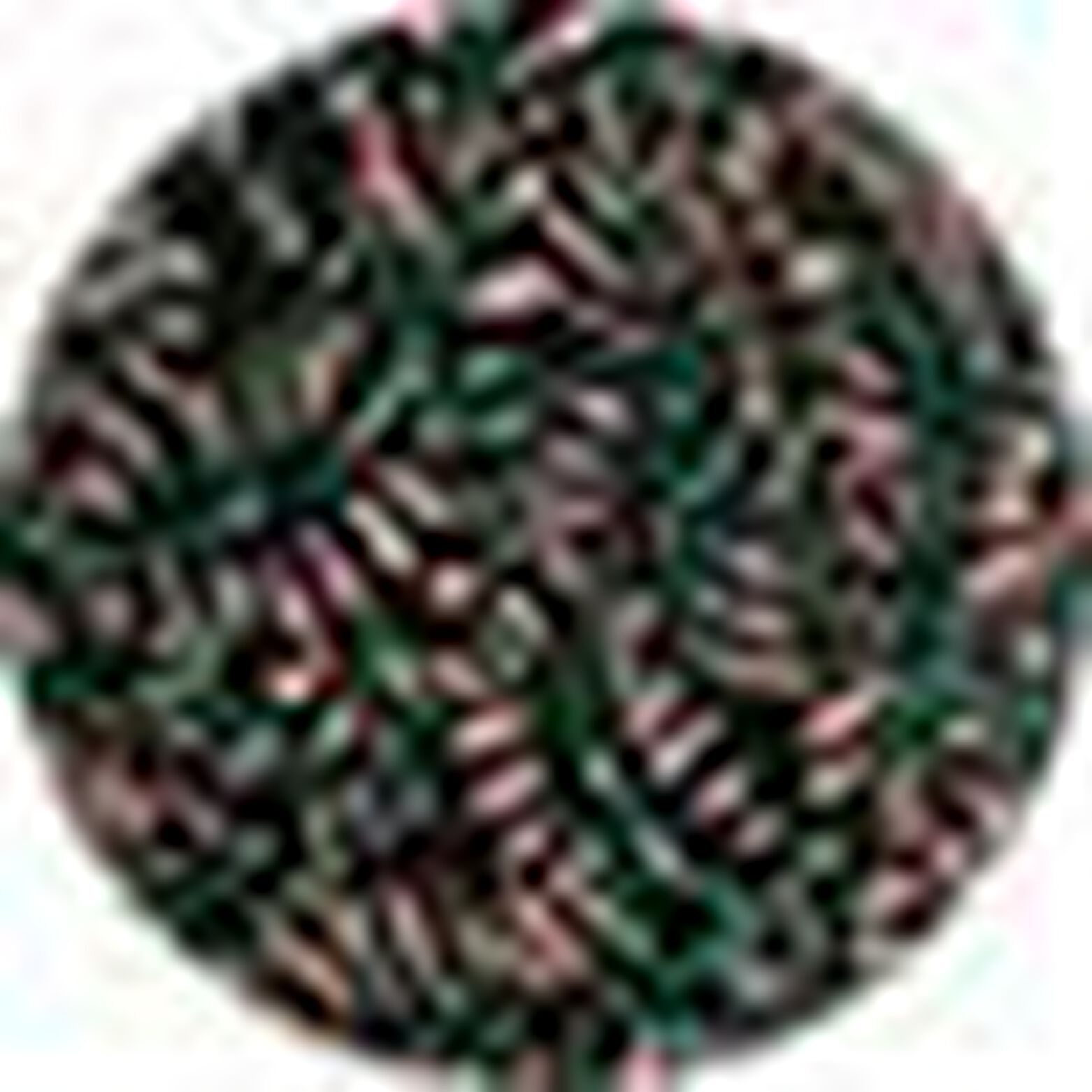 Short jacquard femme