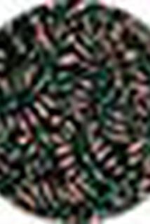 Short jacquard femme