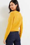 Pull tricot fantaisie femme