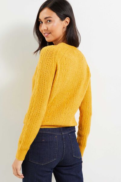 Pull tricot fantaisie femme