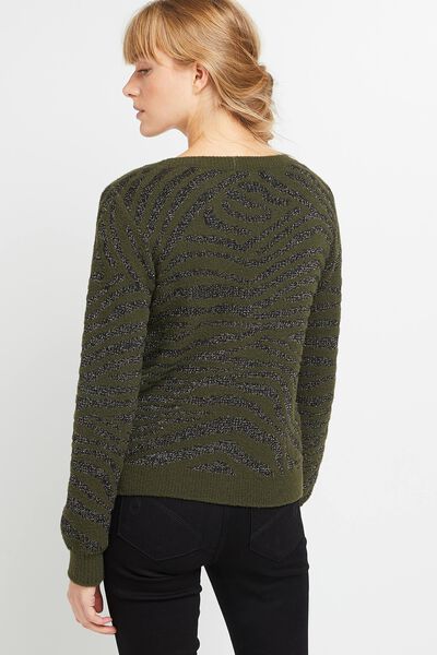 Pull jacquard zébré femme