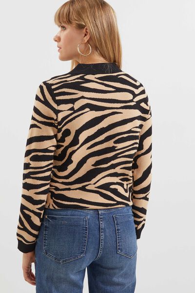 Pull col polo femme