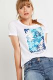 T-shirt manches courtes femme