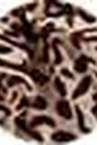 Etole imprimé léopard femme
