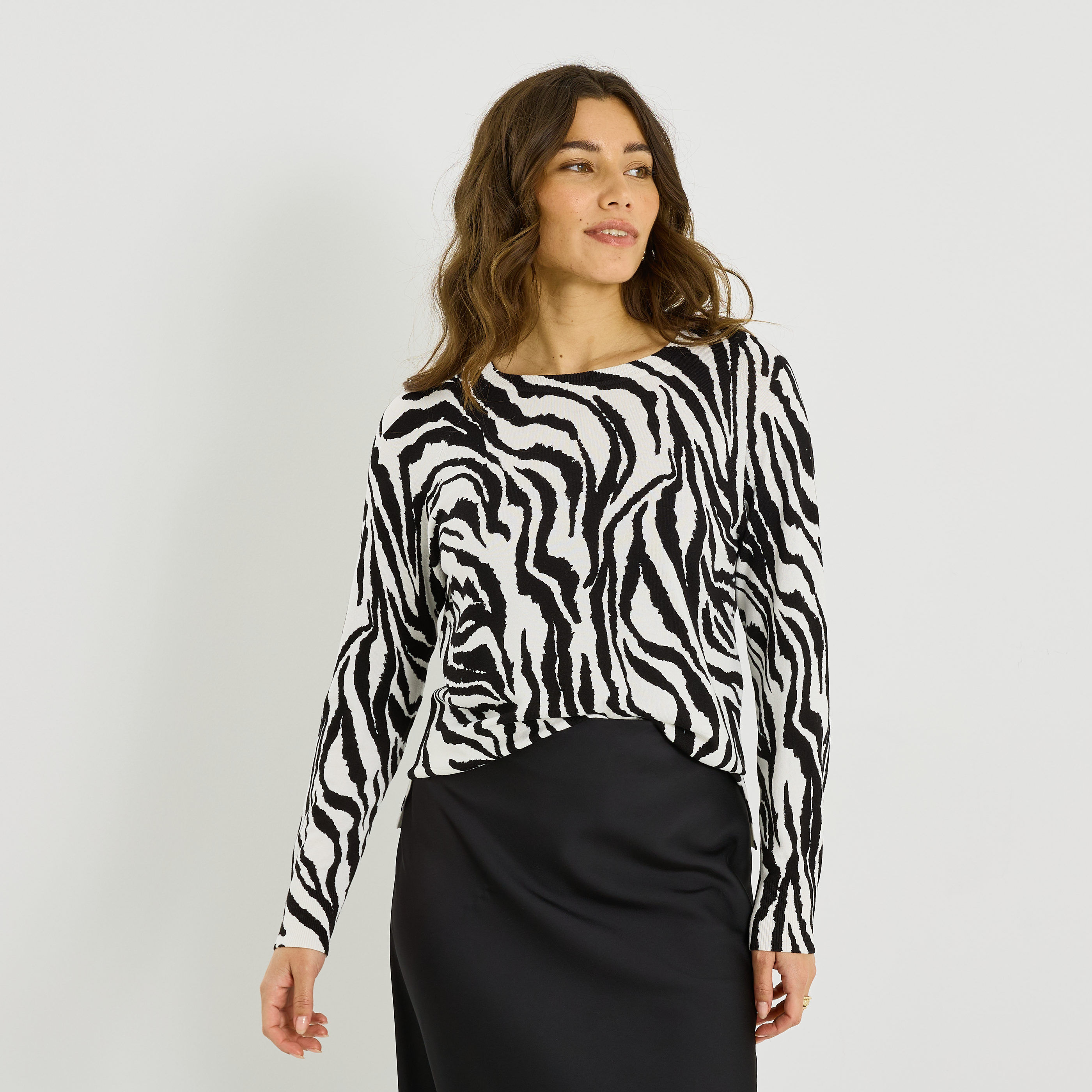 Pull col rond imprim&eacute; animal femme