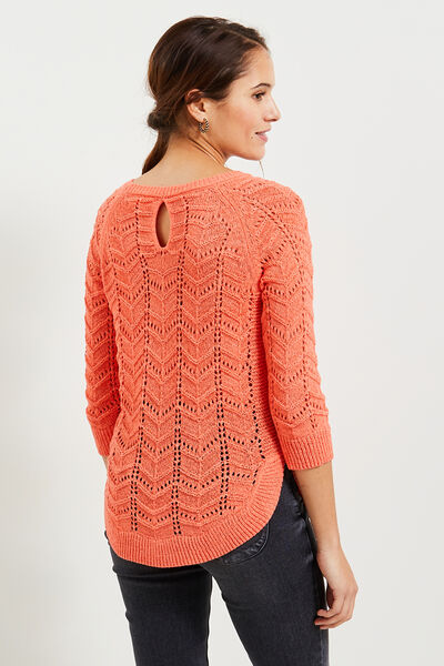 Pull tricot fantaisie femme