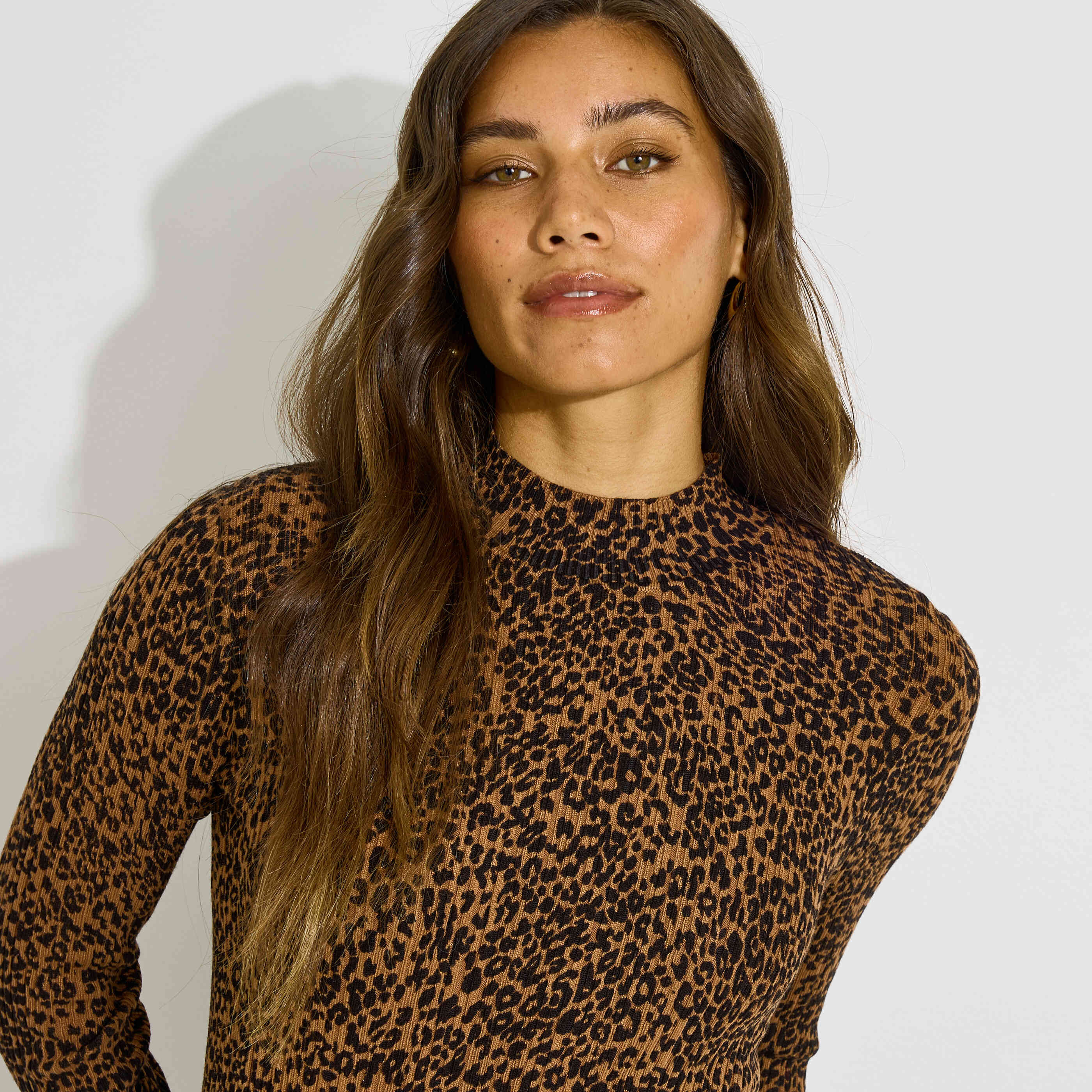 Pull col montant l&eacute;opard femme