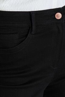 Jean carrot HOUSTON C02 femme